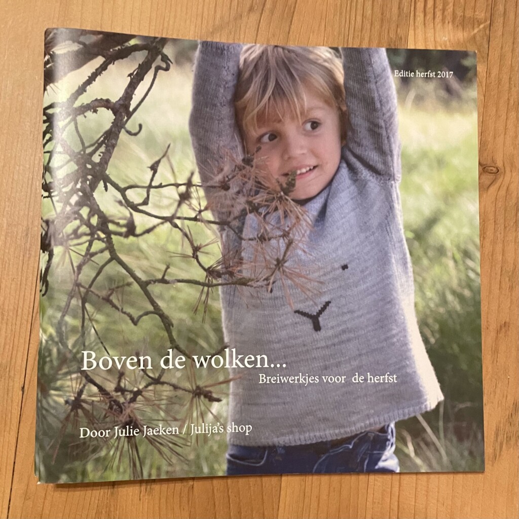 Boven de wolken – Julie Jaeken